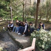 GASVLITIGONISDZIEBA-3