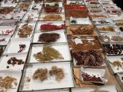 02787c4e-5573-4522-b1f3-1b29075b8618